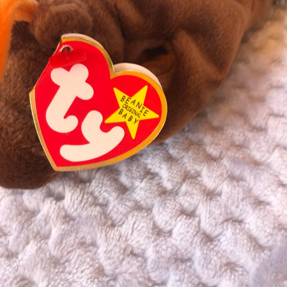 TY Beanie Baby Chocolate the Moose - Picture 5 of 10